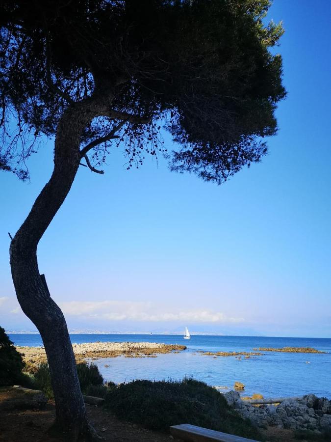 5 Min To Sea Suite Francaise Old Town Antibes Exterior photo